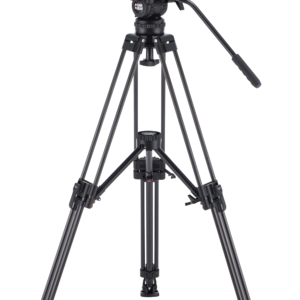 V10P CF MS
