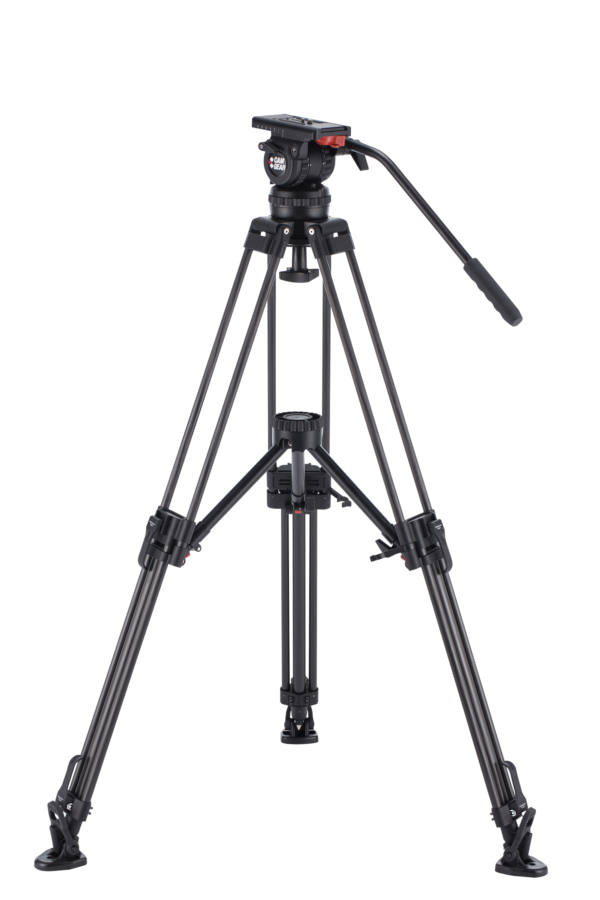 V10P CF MS
