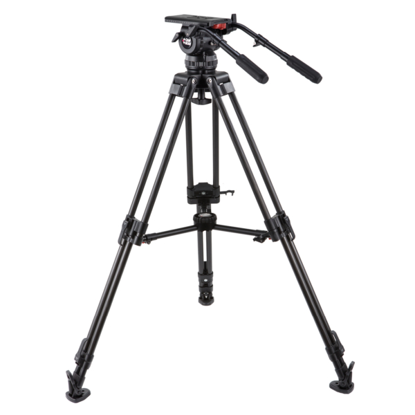 V20P EFP CF MS