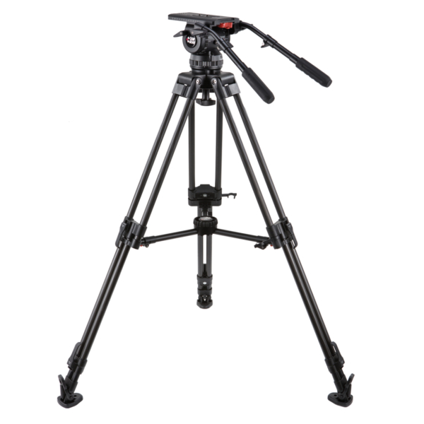 V25P EFP CF MS