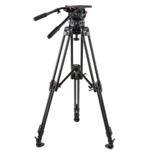 V35P EFP CF MS