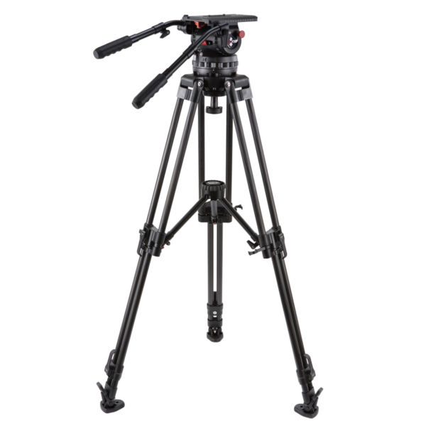 V35P EFP CF MS
